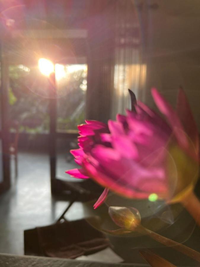 Villa A & A Hikkaduwa Buitenkant foto