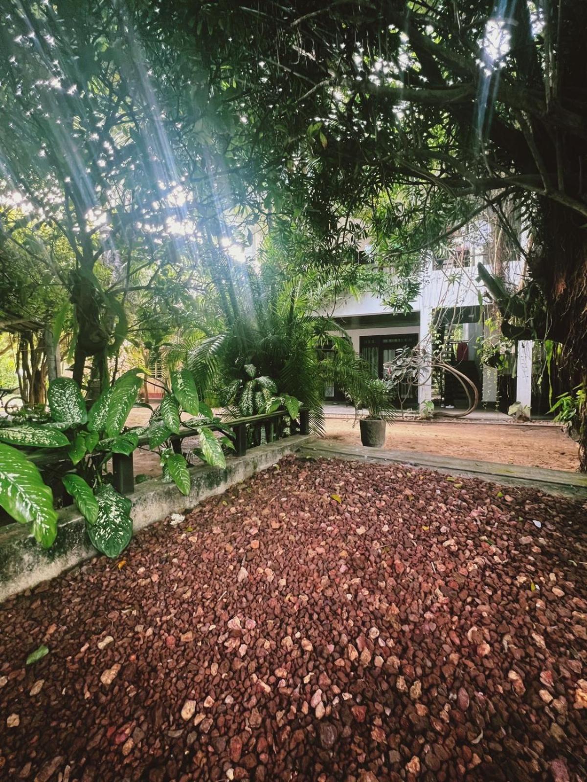 Villa A & A Hikkaduwa Buitenkant foto